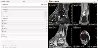 /images/services/simulator.png radiologists in office